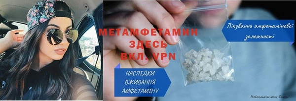 прущие грибы Беломорск