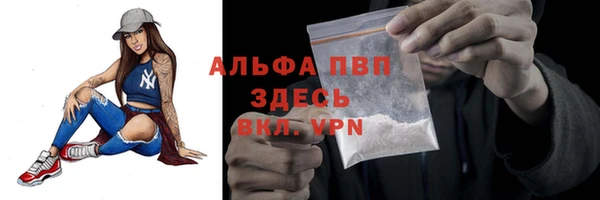 прущие грибы Беломорск