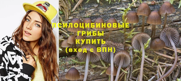 скорость mdpv Белокуриха