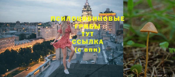 прущие грибы Беломорск