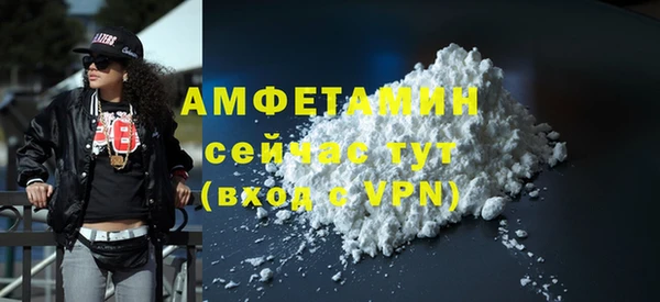 прущие грибы Беломорск
